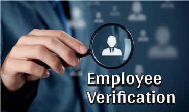 Employment Investigation